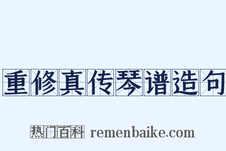 重修真传琴谱造句是什么意思的图片